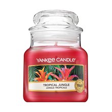 Yankee Candle Tropical Jungle vonná sviečka 104 g