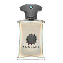 Amouage Portrayal Eau de Parfum für Herren 50 ml