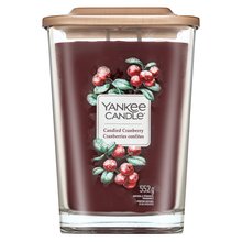 Yankee Candle Candien Cranberry vonná sviečka 552 g