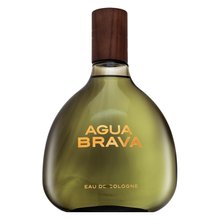 Antonio Puig Agua Brava Eau de Cologne for men 500 ml