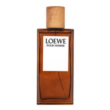 Loewe Pour Homme woda toaletowa dla mężczyzn 100 ml