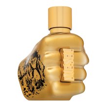 Diesel Spirit of the Brave Intense Eau de Parfum for men 50 ml