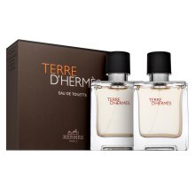 Hermès Terre D'Hermes set cadou bărbați Set II.