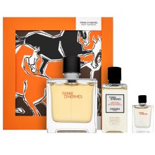 Hermès Terre D'Hermes set cadou bărbați Set I. 75 ml
