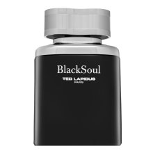 Ted Lapidus Black Soul тоалетна вода за мъже Extra Offer 50 ml