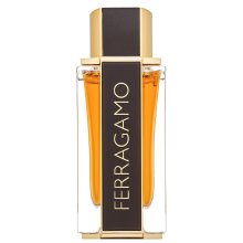 Salvatore Ferragamo Spicy Leather Special Edition woda perfumowana dla mężczyzn 100 ml