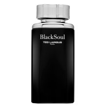 Ted Lapidus Black Soul Eau de Toilette für Herren Extra Offer 100 ml