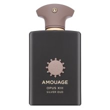 Amouage Library Collection Opus XIII Silver Oud Eau de Parfum unisex Extra Offer 2 100 ml