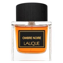 Lalique Ombre Noire parfémovaná voda pro muže Extra Offer 3 100 ml