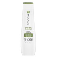 Matrix Biolage Strength Recovery Shampoo versterkende shampoo voor verzwakt haar 250 ml