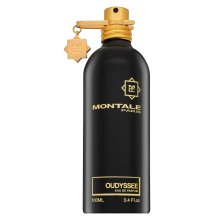 Montale Oudyssee Eau de Parfum uniszex 100 ml