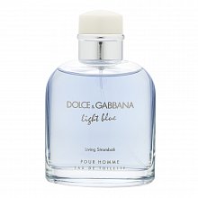 Dolce & Gabbana Light Blue Living Stromboli Pour Homme toaletní voda pro muže 125 ml