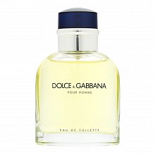 Dolce & Gabbana Pour Homme Eau de Toilette da uomo 75 ml