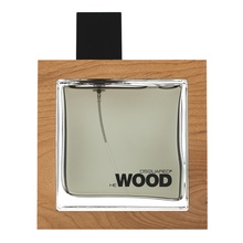 Dsquared2 He Wood toaletní voda pro muže 100 ml