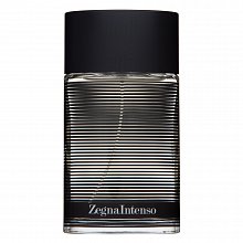 Ermenegildo Zegna Intenso toaletní voda pro muže 100 ml