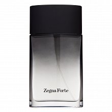 Ermenegildo Zegna Zegna Forte toaletní voda pro muže 100 ml