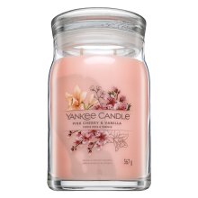 Yankee Candle Pink Cherry & Vanilla