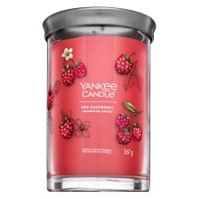 Yankee Candle Tumbler Red Raspberry 567 g