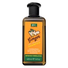 Xpel Hair Care Ginger Anti-Dandruff Shampoo fortifying shampoo against dandruff 400 ml