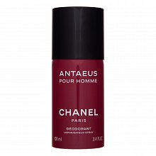 Chanel Antaeus deospray pro muže 100 ml