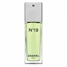 Chanel No.19 toaletní voda pro ženy 100 ml