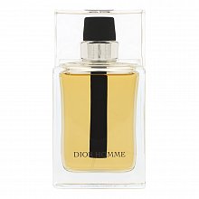 Dior (Christian Dior) Dior Homme 2011 toaletní voda pro muže 100 ml