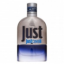 Roberto Cavalli Just Cavalli Him 2013 toaletná voda pre mužov 50 ml