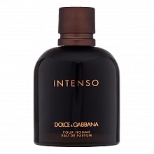 Dolce & Gabbana Pour Homme Intenso Парфюмна вода за мъже 125 ml