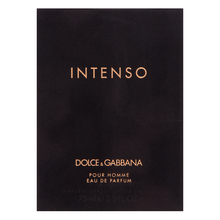 Dolce & Gabbana Pour Homme Intenso Парфюмна вода за мъже 75 ml