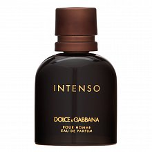 Dolce & Gabbana Pour Homme Intenso Eau de Parfum voor mannen 40 ml