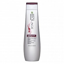 Matrix Biolage Advanced RepairInside Shampoo šampon pro poškozené vlasy 250 ml