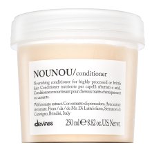 Davines Essential Haircare Nounou Conditioner pflegender Conditioner für sehr trockenes und geschädigtes Haar 250 ml