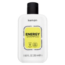 Kemon Energy Shampoo posilující šampon proti vypadávání vlasů 250 ml