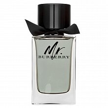 Burberry Mr. Burberry Eau de Toilette para hombre 150 ml