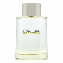 Kenneth Cole Reaction toaletní voda pro muže 100 ml