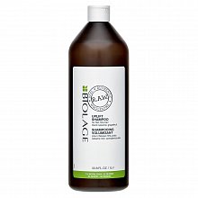 Matrix Biolage R.A.W. Uplift Shampoo šampon pro zplihlé, jemné vlasy 1000 ml