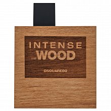 Dsquared2 Intense He Wood toaletní voda pro muže 100 ml