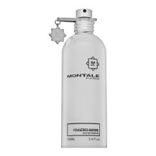 Montale Fougeres Marines parfémovaná voda unisex 100 ml