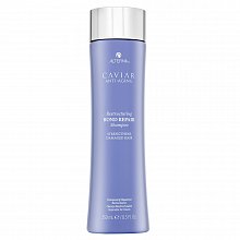 Alterna Caviar Restructuring Bond Repair Shampoo shampoo per capelli danneggiati 250 ml