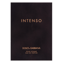 Dolce & Gabbana Pour Homme Intenso Парфюмна вода за мъже 125 ml