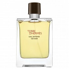 Hermes Terre D'Hermes Eau Intense Vetiver Eau de Parfum für Herren 100 ml
