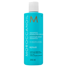 Moroccanoil Repair Moisture Repair Shampoo šampón pre suché a poškodené vlasy 250 ml