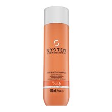 System Professional Solar Hair & Body Shampoo szampon i żel pod prysznic 2w1 do włosów osłabionych działaniem słońca 250 ml