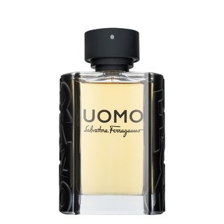 salvatore ferragamo uomo woda toaletowa 100 ml