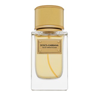 dolce & gabbana velvet mimosa bloom woda perfumowana 50 ml   