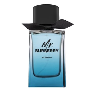burberry mr. burberry element
