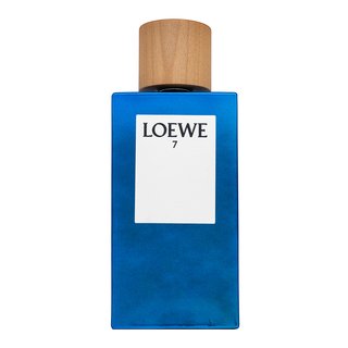 loewe 7