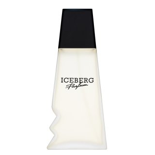 iceberg iceberg