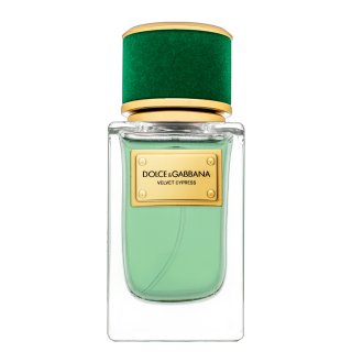 dolce & gabbana velvet cypress