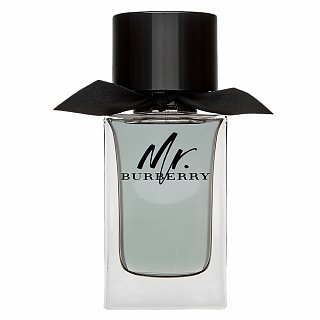 burberry mr. burberry woda toaletowa 100 ml   